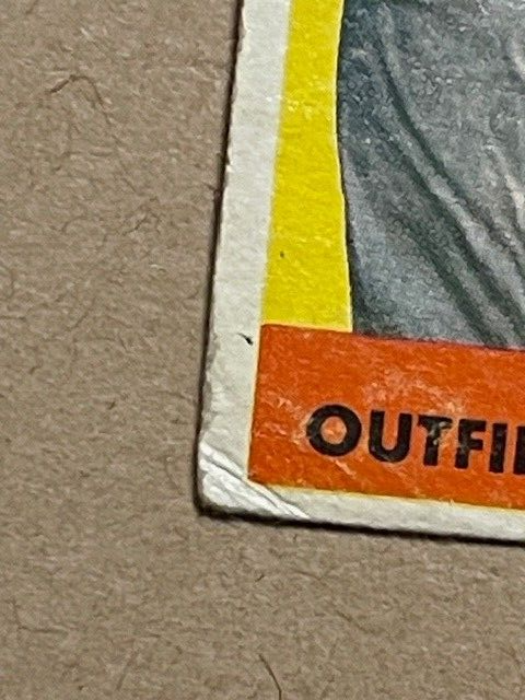 Picture 5 of 6