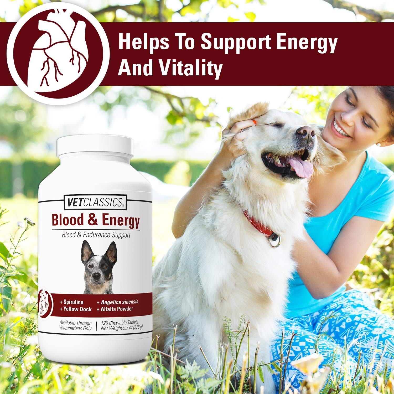 Vet Classics Blood & Energy Support for Dogs, Supports Endurance with Spiruli...