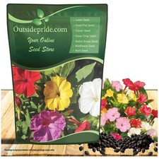 Colorful Trumpet-Shaped Blooms - 1 lb Perennial Seeds