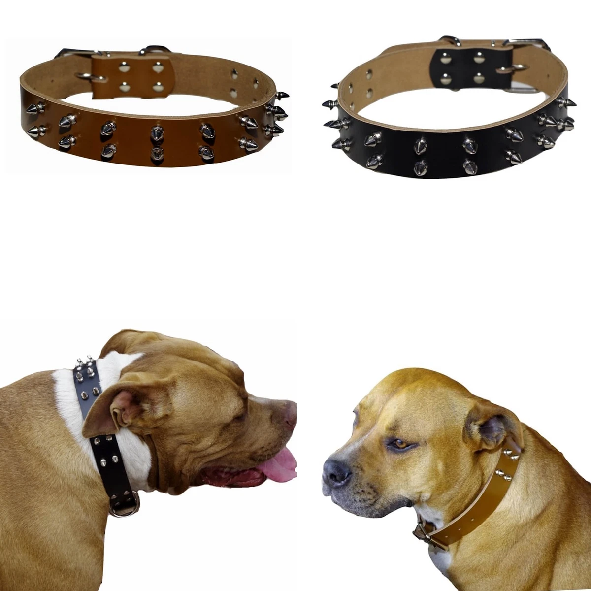 Best collar for staffy sale