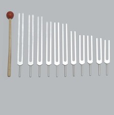 11 Mineral Nutrients Tuning Forks Tuners for Sound Healing Therapy Mallet F/ship
