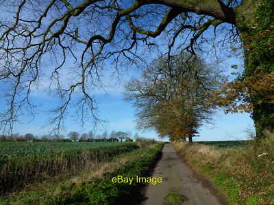 Foto 12x8 Lamberts Lane Weasenham St Peter Norfolk c2014