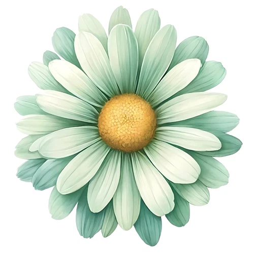 Daisy Flower Floral Self Adhesive Vinyl Sticker