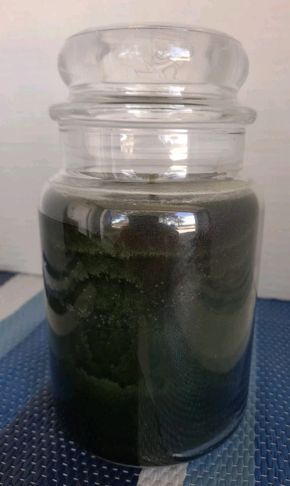 Vela Bálsamo y Cedro Grande 22 OZ Tarro de Vidrio y Tapa Chrismas Green Yankee Candle Foto 3 de 4