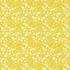 MODA - Raspberry Summer by Sherri Chelsi - Blossom - Summer 1/4yd