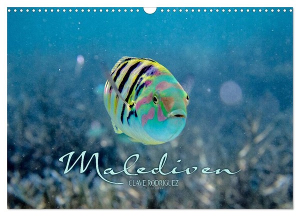 Calendar 2027 · US Version · Maldives Underwater World II (Wall Calendar 2027 17-image