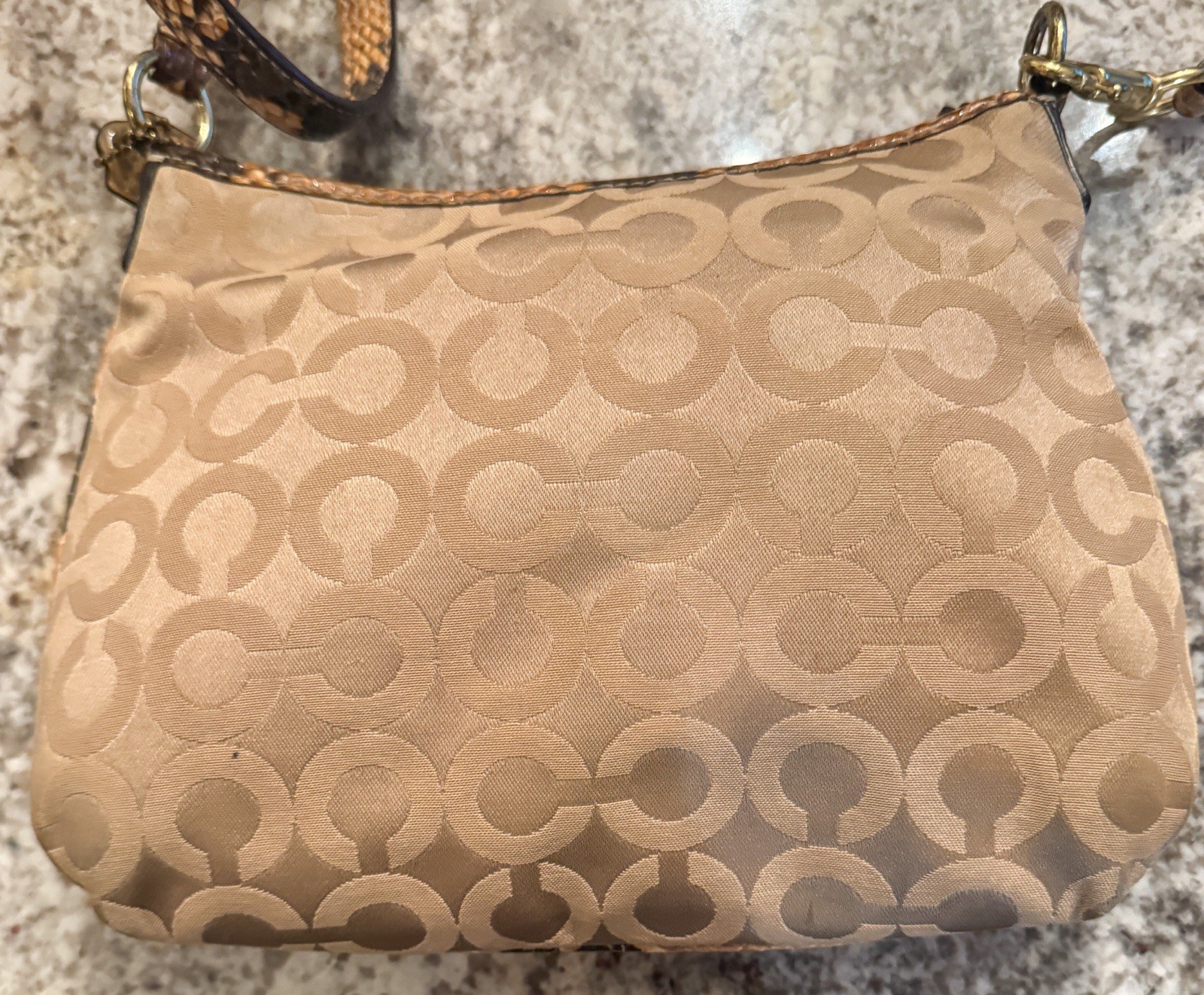 Coach Python Snakeskin Embossed Strap & Lined Mon… - image 4