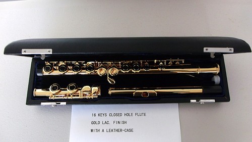 Italian Pads 16 Keys C Flute in Excellent Condition
