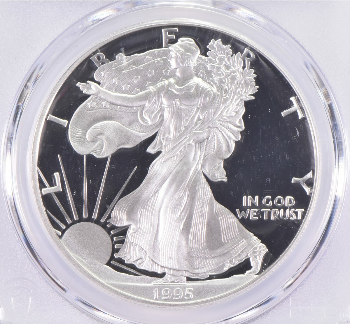1995-P PR70 DCAM American Silver Eagle PCGS Blue Label | eBay