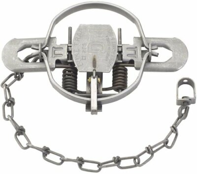 4 Duke #2 Coil Spring Traps 0490 Coyote Bobcat Fox Lynx Otter Trapping 5 1/4''