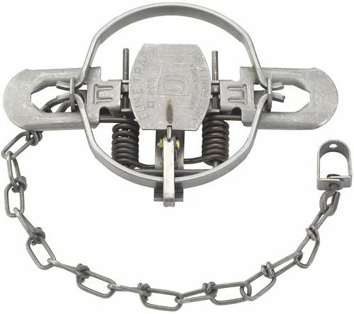 4  Duke # 2 Coil Spring Traps 0490 Coyote Bobcat Fox Lynx Otter Trapping