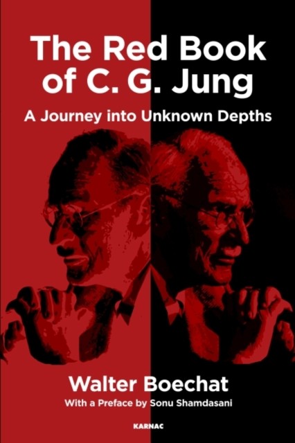 The Red Book of C.G. Jung by Walter Boechat (Paperback Book)