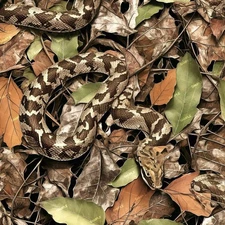 Snake Camouflage 52 - 18"x46" Hydrographic Film Hydro Dipping
