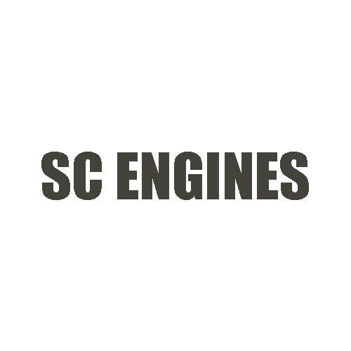 SC Engines O-ring set (Carb body, high and low speed needle) (for SCAP09)