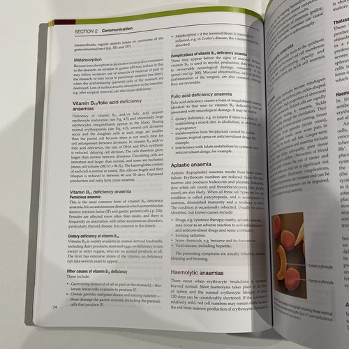 Ross & Wilson Anatomy and Physiology in Health and Illness by Anne Waugh,... - Picture 4 of 7