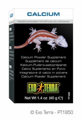 Exo Terra Reptile Calcium
