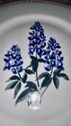 Bild 8 von 10