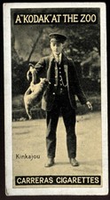 Tobacco Card, Carreras, KODAK AT THE ZOO, A Series, 1924, Kinkajou, #40
