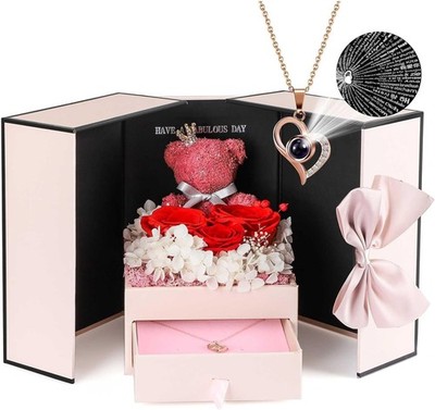 ADDWel Preserved Real Rose with I Love You Necklace in 100 Languages, Eternal Re