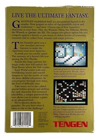 Gauntlet 1 Tengen Black  (Nintendo NES) Complete in Box