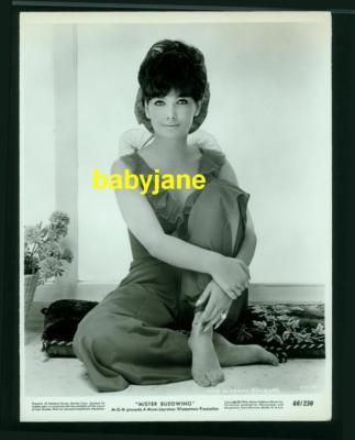 SUZANNE PLESHETTE VINTAGE 8X10 PHOTO 1966 BAREFOOT PINUP eBay