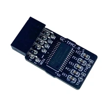 TPM 2.0 Encryption Module with 12 pin with Windows 11 for GIGABYTE Motherboard