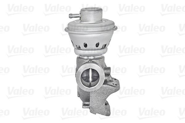 VALEO-OE 700406-OE EGR Valve for CITROËN,FIAT,PEUGEOT