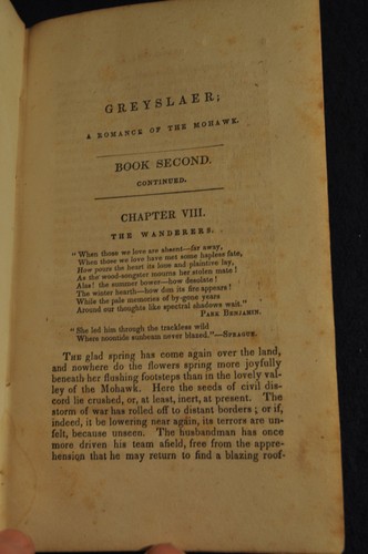 *RARE* Greyslaer, A Romance of the Mohawk, V II, Hoffman, 1840 - Picture 6 of 11