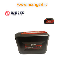 Batteria Litio Blue bird 18 V 5 Ah per abbacchiatore motosega soffiatore potator