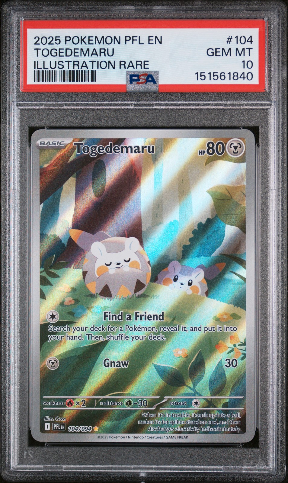 Pokemon Phantasmal Flames Togedemaru 104 PSA 10