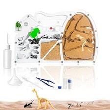Ant Farms for Kids, Sand Ant Colony Observation Kit Yellow