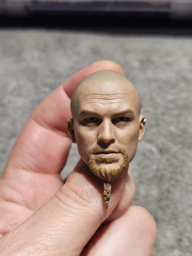 DAMTOYS DAM SF002 1/6 Scale GHOST SERIE TITANS PMC Frank Casey Head Sculpt