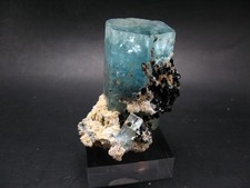 Big Aquamarine & Black Tourmaline Crystal From Erongo Namibia - 3.3