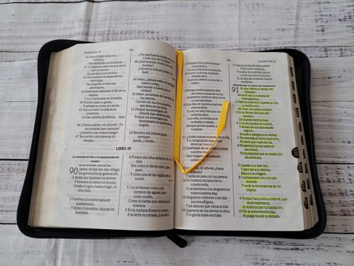 Santa Biblia Reina Valera 1960 Letra Grande Holy Bible Red Letter Spanish - Imagen 13 de 17