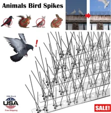 4× Bird Spikes for Small Birds Pigeons 4 ft anti Bird Squirrel Cat Fence Spike