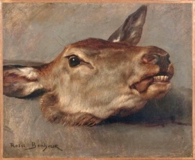 Oil painting Study-of-a-Does-Head-Rosa-Bonheur-Oil-Painting-Study-of-a-Does-Head