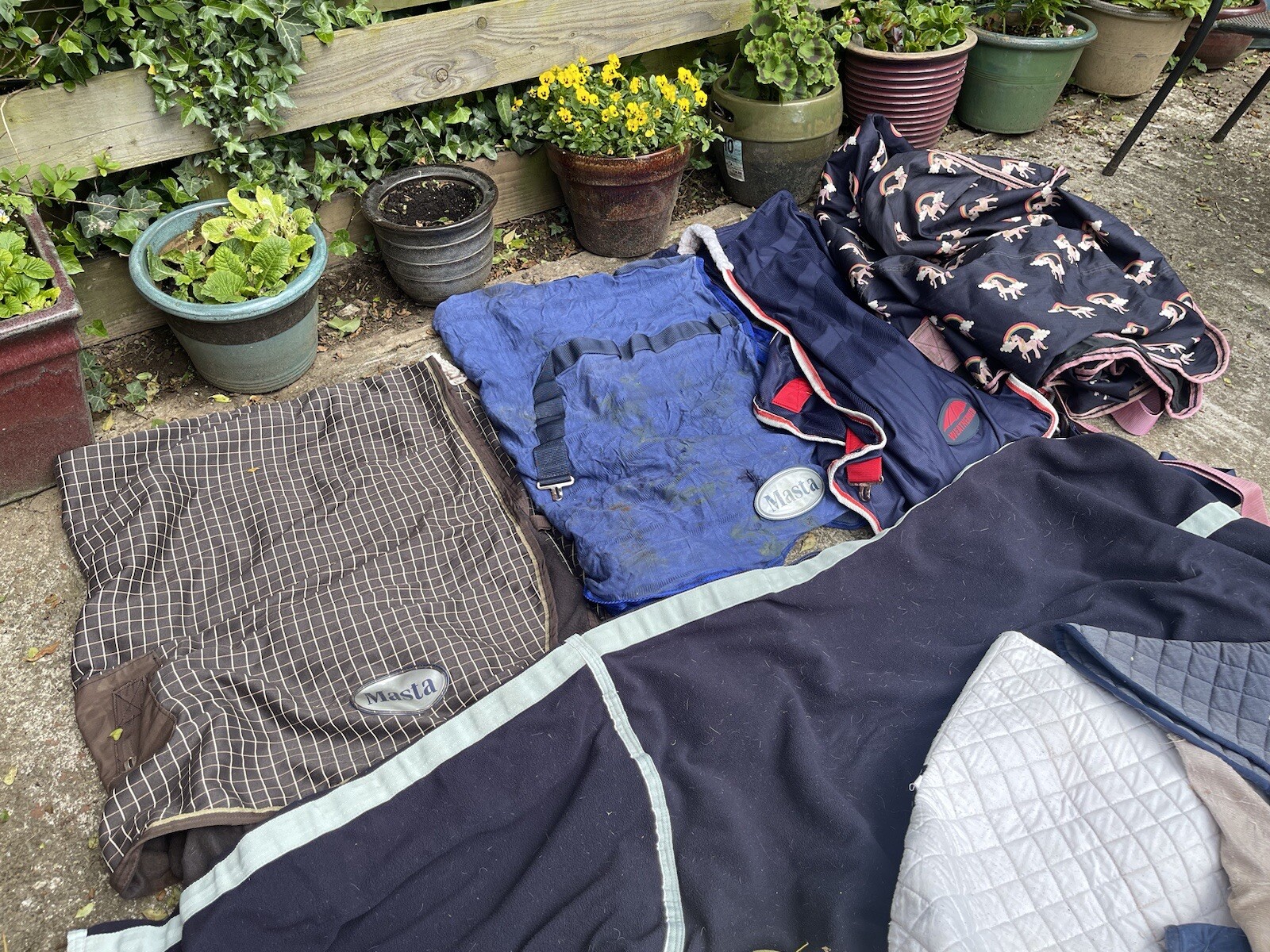 Job Lot Horse Rugs Numnahs Boots Tack Etc Equine Bundle 99p N/R eBay