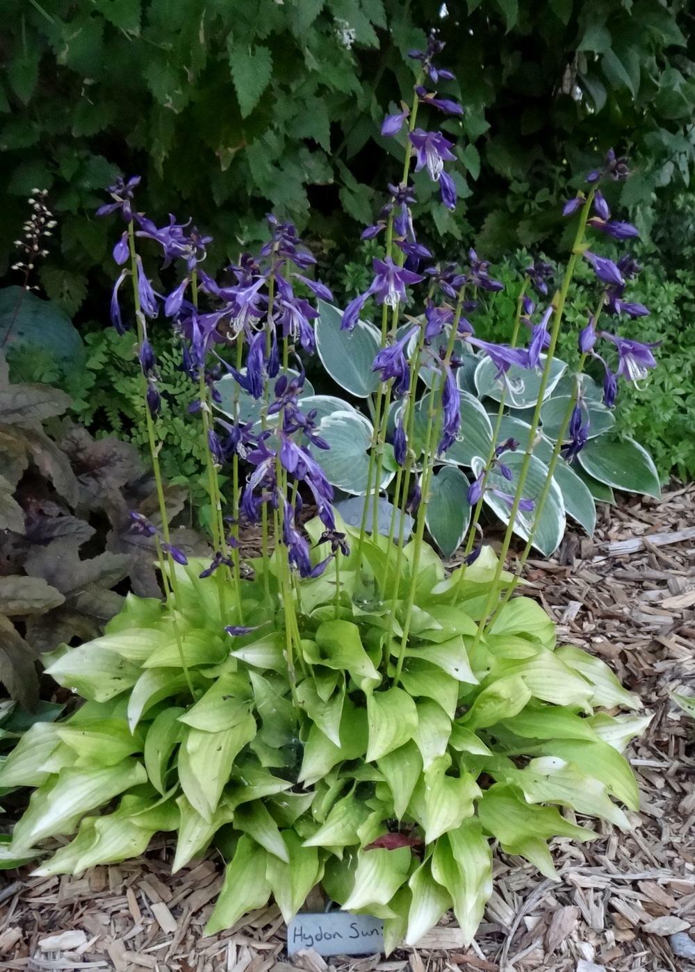 Picture 3 of 3