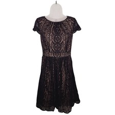 Adrianna Papell Pleat Stripe Filagree Dress Lace Overlay Fit Flare Cap Sleeve 10
