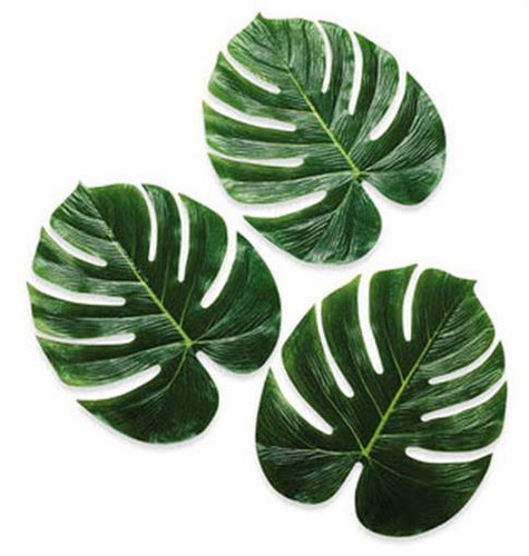 Set of 12 Jumbo 13" Palm Leaves Decorations Tropical Craft Hawaiian Luau Party