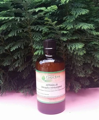 Organic Astragalus Root Tincture (100ml) 1:2 Ratio. High Strength Herbal Extract