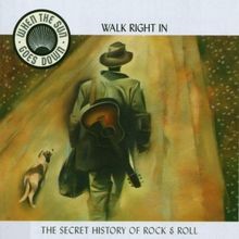Walk Right in - When the  von When the Sun Goes Down | CD | Zustand sehr gut