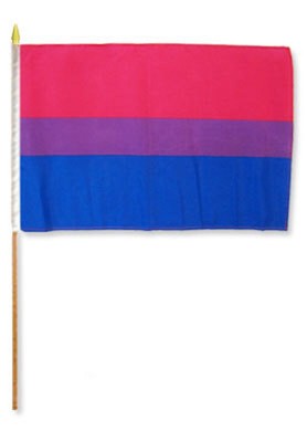 12x18 12"x18" Gay Pride Bisexual Bi Stick Flag wood staff 100D | eBay