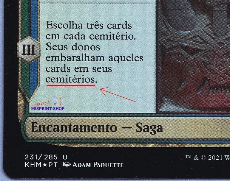 Imagen 3 de 5