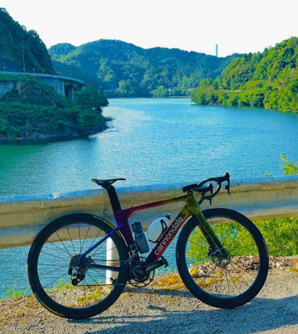 CANNONDALE SYSTEMSIX Hi-mod 51 Demo Paint Frame | eBay