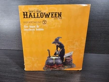 Department 56 Witch’s Fire Burn & Cauldron Bubble Snow Village Halloween 4030764