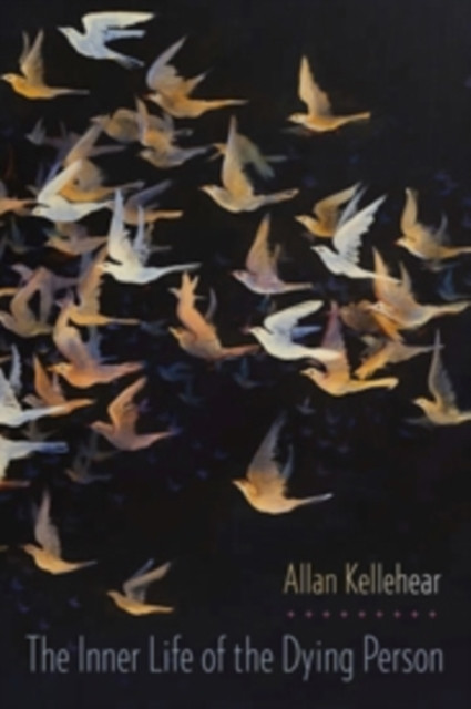 The Inner Life of the Dying Person by Allan  Kellehear (Paperback Book)