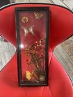 Framed Real Butterfly Specimens with Dried Flowers, Wood Glass Frame Dunston — photo 6