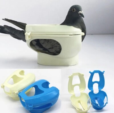 1Pc Racing Pigeon Holder For Injection Feeding Vaccination Mount Bird Suppli.WS