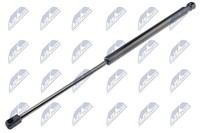 Heckklappen DäMpfer Gasfeder Kofferraum NTY AE-CT-031 FüR CitroËN C5 2 Hdi 16V